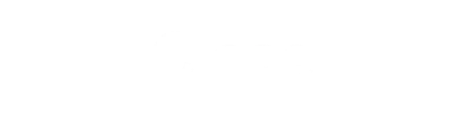 Logo Close