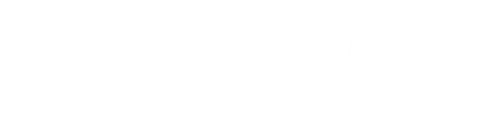 Logo Plausible