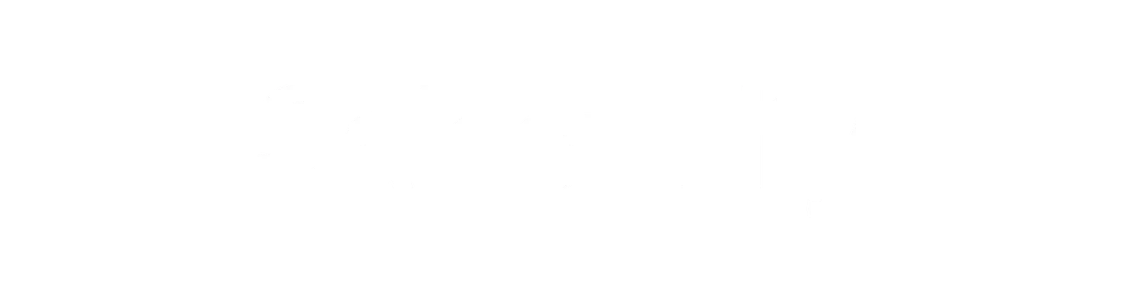 Logo Salesfinity
