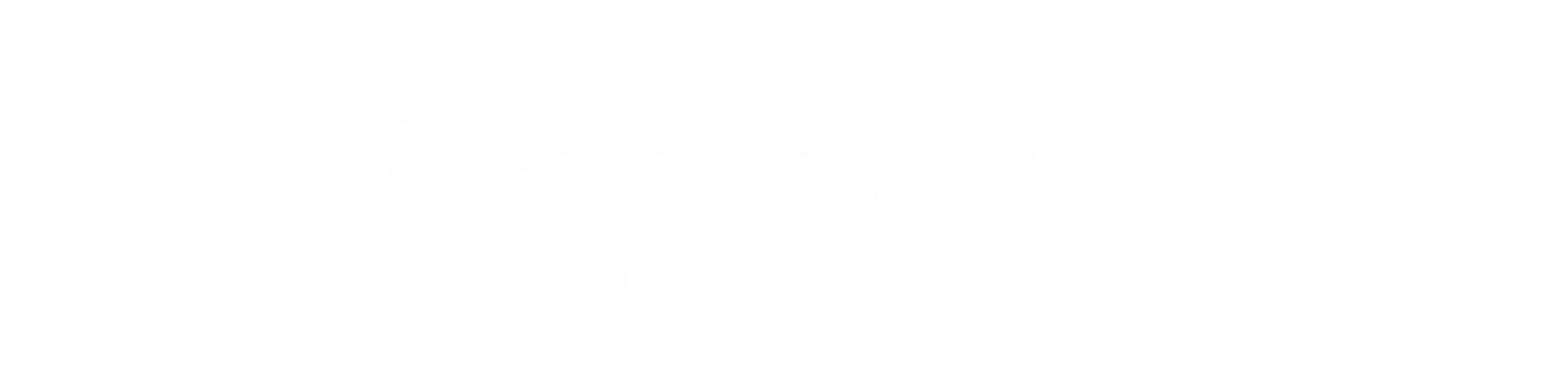 Logo Segment