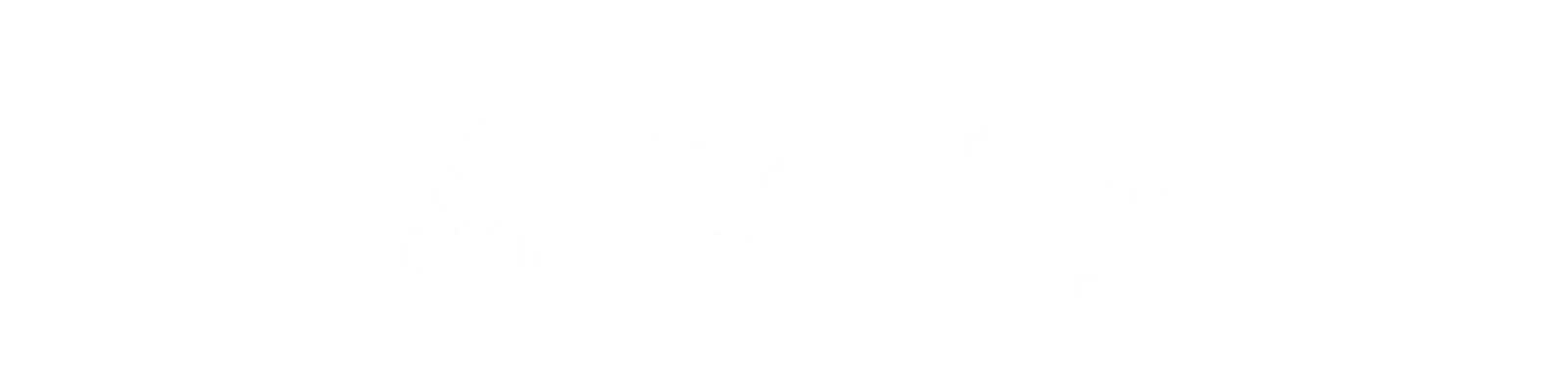 Logo Sentry