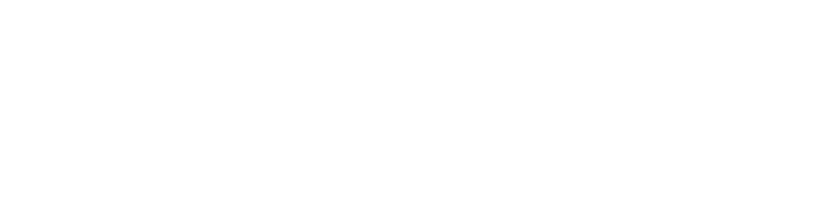 Logo Shopify