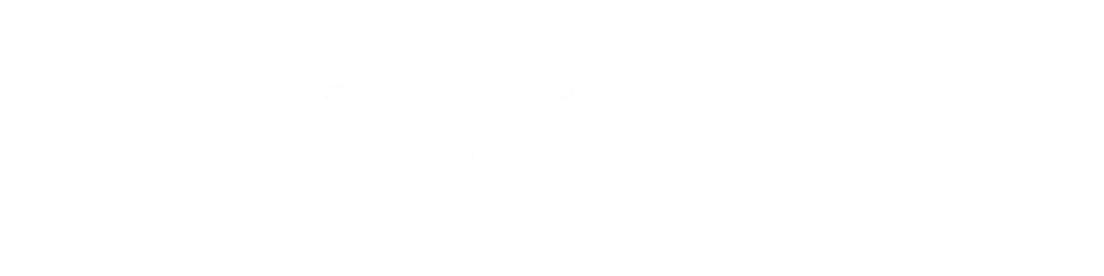 Logo Stripe
