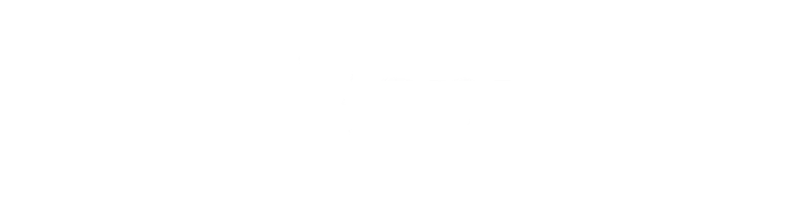 Logo Vapi