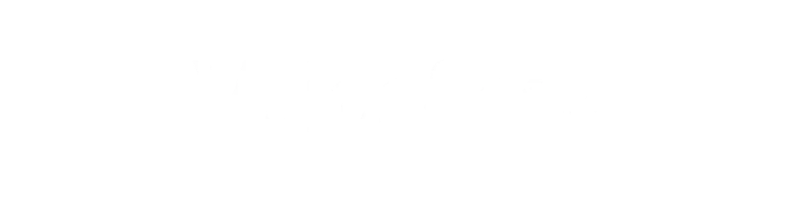 Logo Voiceflow