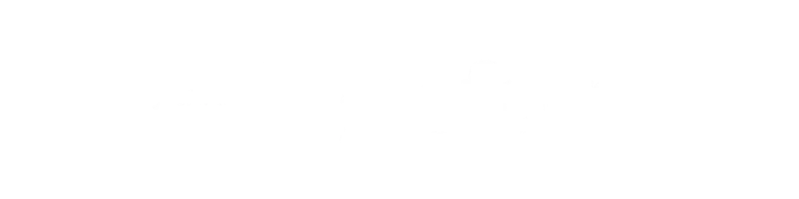 Logo Typeform